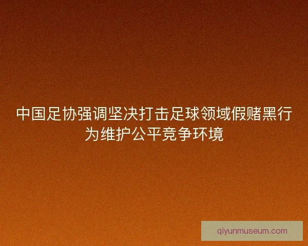 中国足协强调坚决打击足球领域假赌黑行为维护公平竞争环境